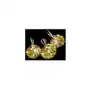 Kolczyki+wisiorek kryształy aurora seashell Arande Sklep