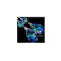 SWAROVSKI piękne długie kolczyki BLUE AURORA HOLO Sklep