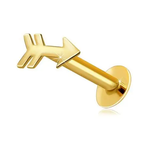 Biżuteria e-shop Piercing do wargi i brody z żółtego 14k złota - motyw strzałki