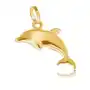 Wisiorek w 14K złocie - lśniący przestrzenny delfin Sklep