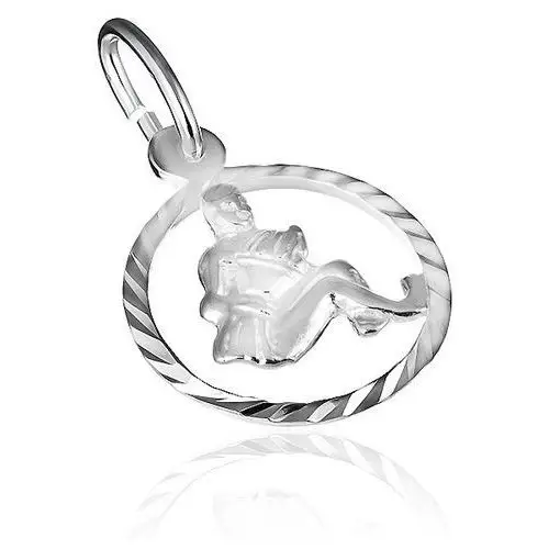 Biżuteria e-shop Wisiorek ze srebra 925 - błyszczące koło i znak zodiaku "wodnik"