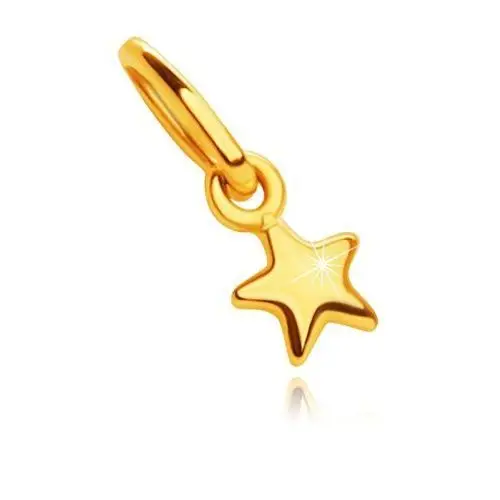 Zawieszka z żółtego 14k złota - lśniąca pięcioramienna gwiazda, 3 mm Biżuteria e-shop