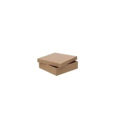 Dalprint pudełko tekturowe 23,5x23,5 cm