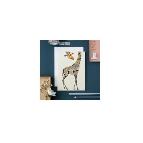 Dm collection karnet a127 b6 + koperta żyrafa