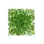 Dystrybutor kufer Korale akrylowe diamentowe 6mm (50szt) j.zielony Sklep