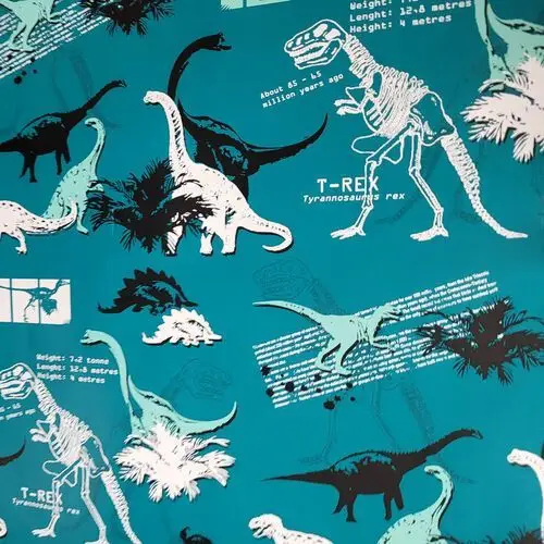 Fastima marcin wajda Papier dinozaury do pakowania prezentów 70cmx2m 98m70