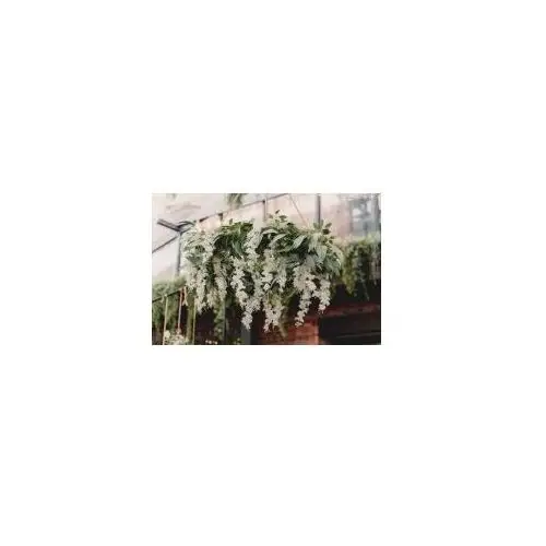 Girlanda wisteria 1.7 m