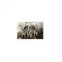 Girlanda wisteria 1.7 m Sklep