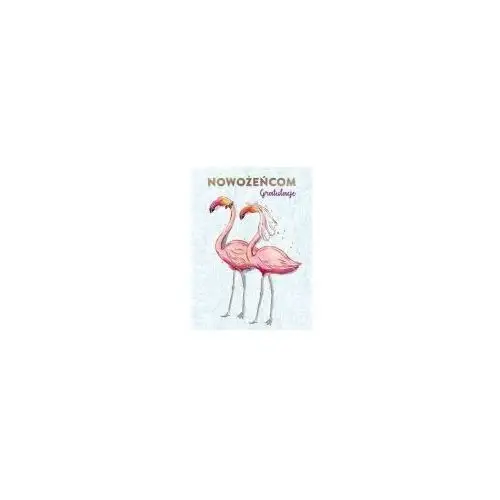 Henry Karnet b6 z kieszonką ślub flamingi z atrybutami