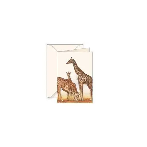 Karnet B6 z kopertą Żyrafy