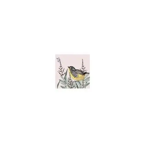 Karnet Swarovski kwadrat CL4706 Żółty ptaszek