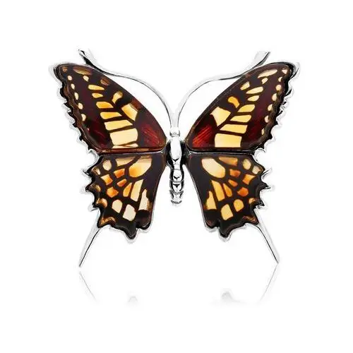 Broszka srebrna motyl z bursztynem big butterfly gleam Lawaiia