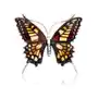 Broszka srebrna motyl z bursztynem big butterfly gleam Lawaiia Sklep