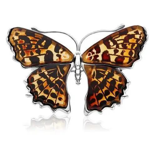 Broszka srebrna motyl z bursztynem big butterfly rustle Lawaiia