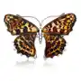 Broszka srebrna motyl z bursztynem big butterfly rustle Lawaiia Sklep
