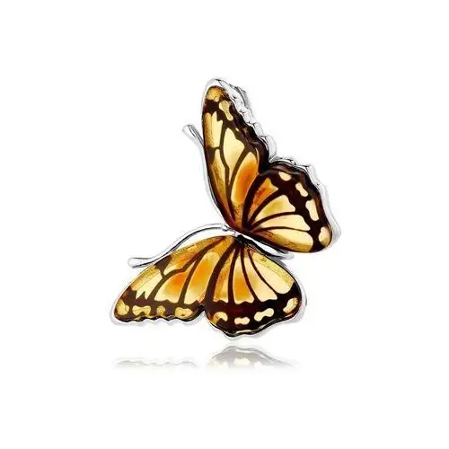 Lawaiia Broszka srebrna motyl z bursztynem butterfly kiss