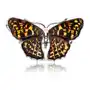 Broszka srebrna motyl z bursztynem Butterfly Rustle Sklep
