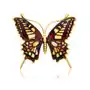 Broszka srebrna pozłacana motyl z bursztynem Big Butterfly Gleam, kolor pomarańczowy Sklep