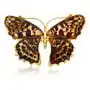 Broszka srebrna pozłacana motyl z bursztynem big butterfly rustle Lawaiia Sklep