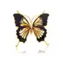 Broszka srebrna pozłacana motyl z bursztynem Butterfly Touch Sklep