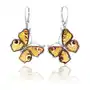 Kolczyki srebrne motyle z bursztynem Big Butterfly Love, kolor pomarańczowy Sklep