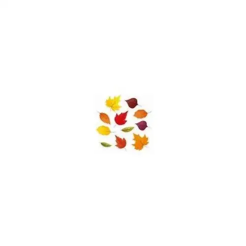 Dekoracje okienne jesienne liście Learnhow