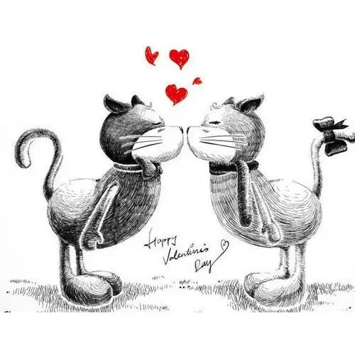 Lovrin Naszyjnik kotki z cyrkoniami dla zakochanych 4