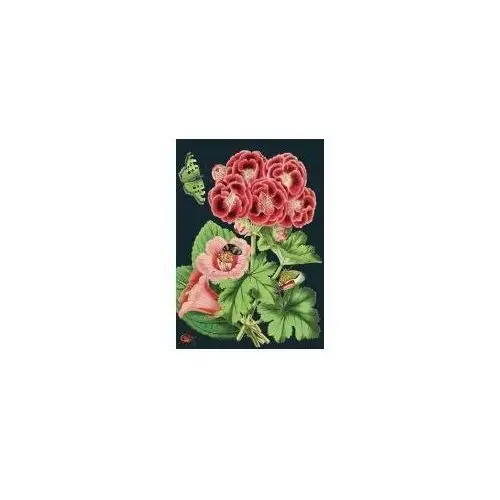 Madame treacle karnet b6 z kopertą różowa pelargonia