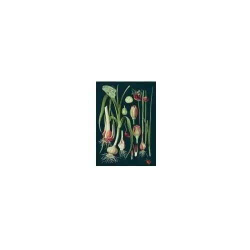 Madame treacle Karnet b6 z kopertą zielony motyl
