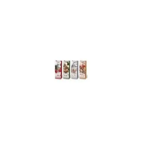 Torebka na prezent BN T 120x360x100