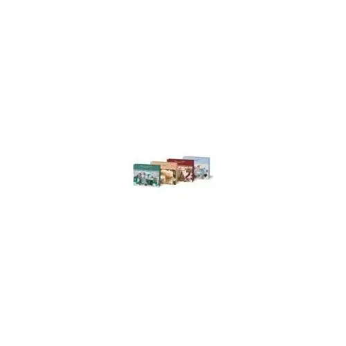 Torebka na prezent BN T 325x265x135