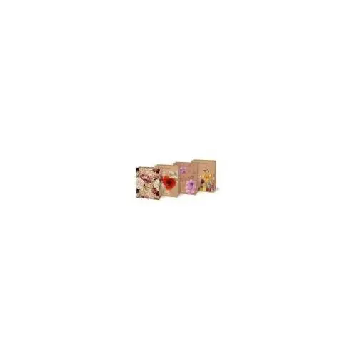 Torebka na prezent L kraft 260x340x140