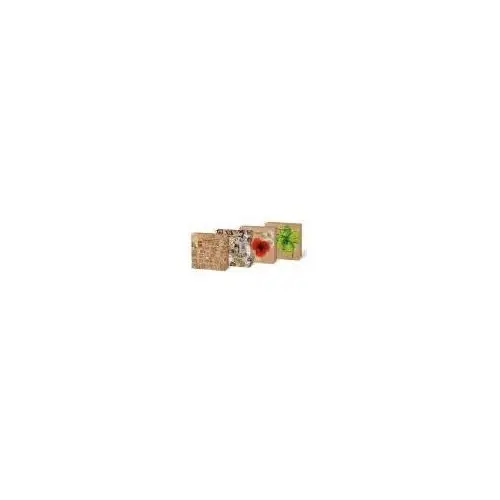 Torebka na prezent SX kraft 1170x170x60
