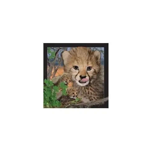Pocztówka 3D Gepard