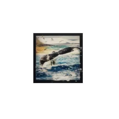 Pocztówka 3D Ogon wieloryba