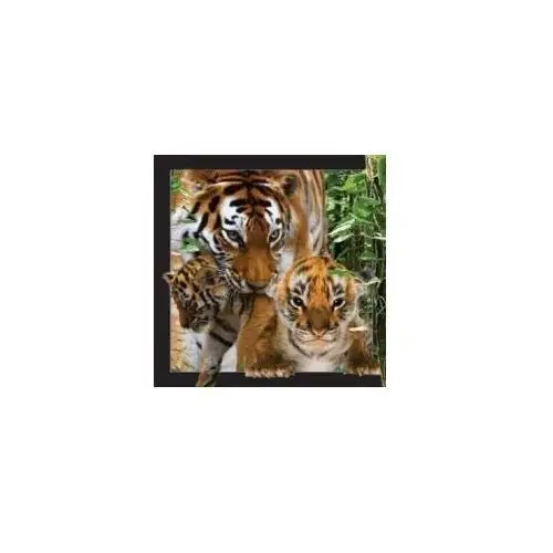 Pocztówka 3D Tygrys