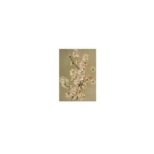 Skona ting Karnet st401 b6 + koperta kwiaty migdałowca
