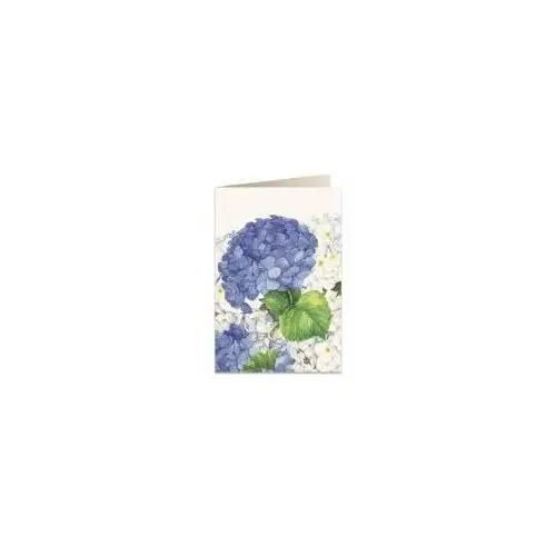 Tassotti karnet b6 + koperta 5549 niebieska hortensja