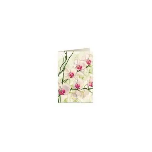 Karnet b6 + koperta 5723 biała orchidea Tassotti