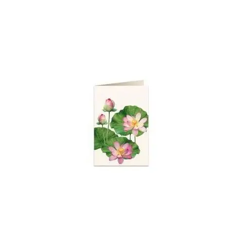 Tassotti Karnet B6 + koperta 5930 Kwiat lotosu