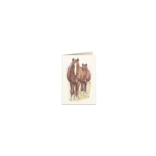 Tassotti karnet b6 + koperta 5937 konie