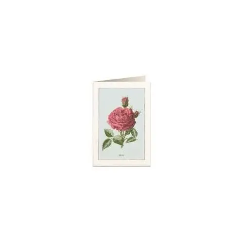 Tassotti karnet b6 + koperta 6019 róża damasceńska