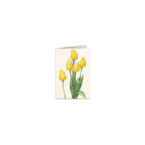 Tassotti karnet b6 + koperta 7516 żółte tulipany