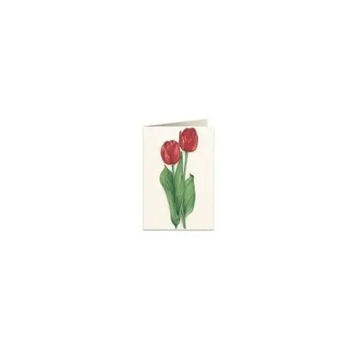 Karnet b6 + koperta 7517 czerwone tulipany Tassotti
