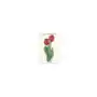 Karnet b6 + koperta 7517 czerwone tulipany Tassotti Sklep