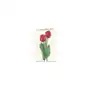 Tassotti Karnet B6 + koperta 7517 Czerwone tulipany Sklep