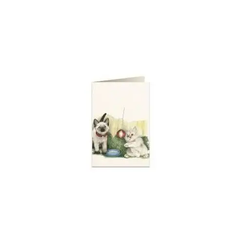 Karnet b6 + koperta 7525 białe kotki Tassotti