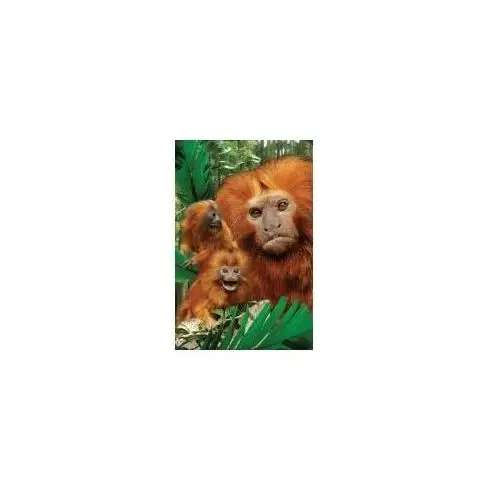 Mini kartka 3d małpa tamaryna Worth keeping
