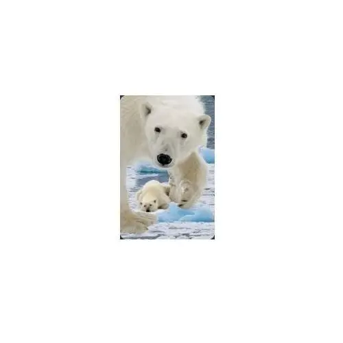 Worth keeping mini kartka 3d niedźwiedź polarny z młodym