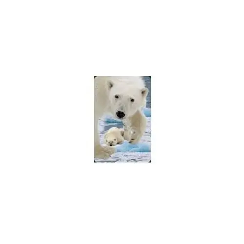 Mini kartka 3d niedźwiedź polarny z młodym Worth keeping